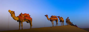 rajasthan-tour-packages